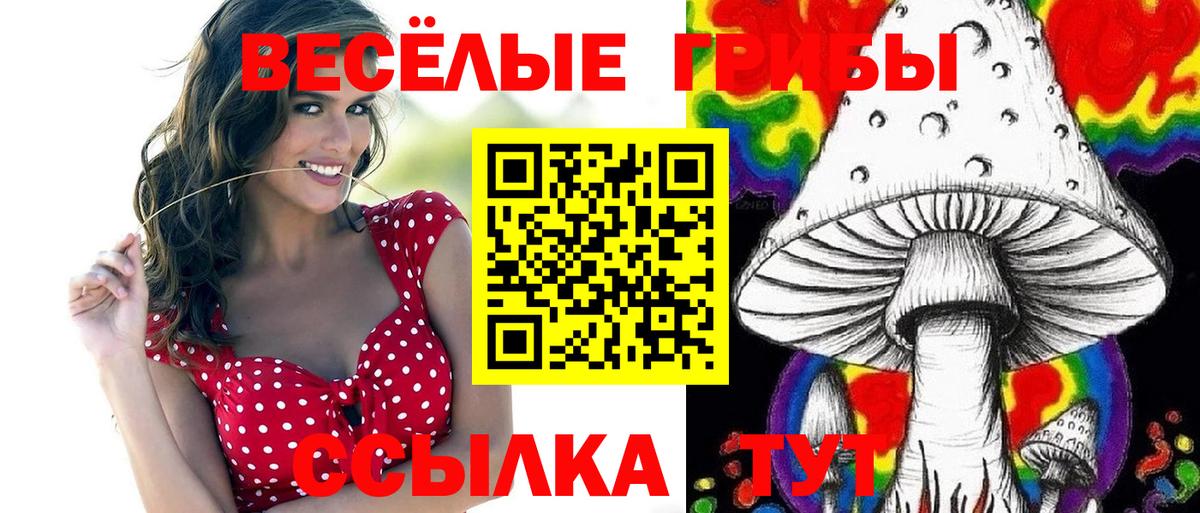Краснокаменск  Псилоцибиновые грибы GOLDEN TEACHER  Вход с VPN 